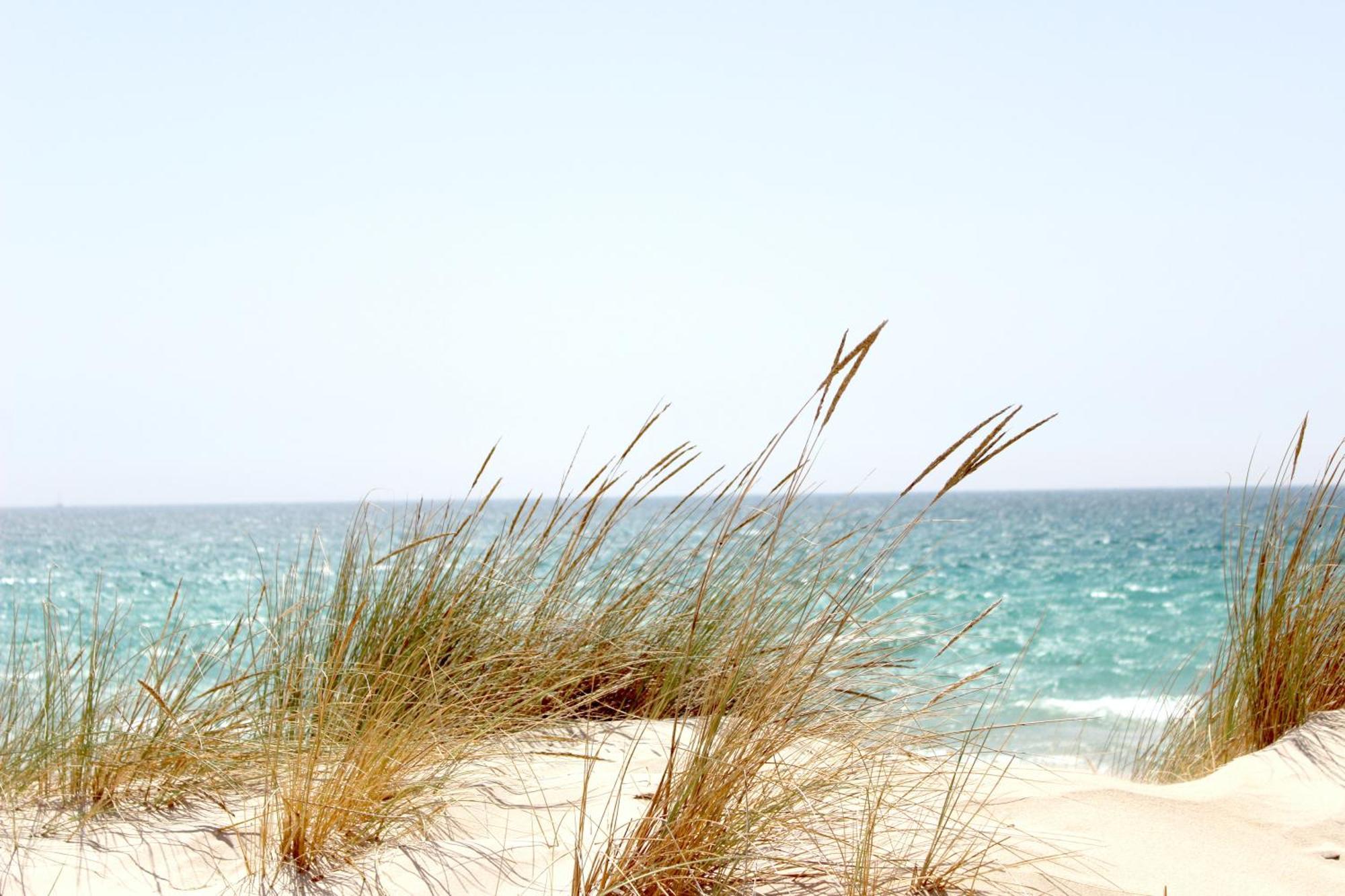Ocean Sands Beach Inn (Adults Only) Сент-Огастин Экстерьер фото